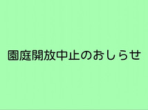 園庭開放中止について