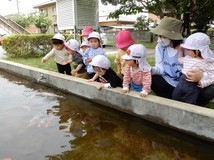 6319(2)